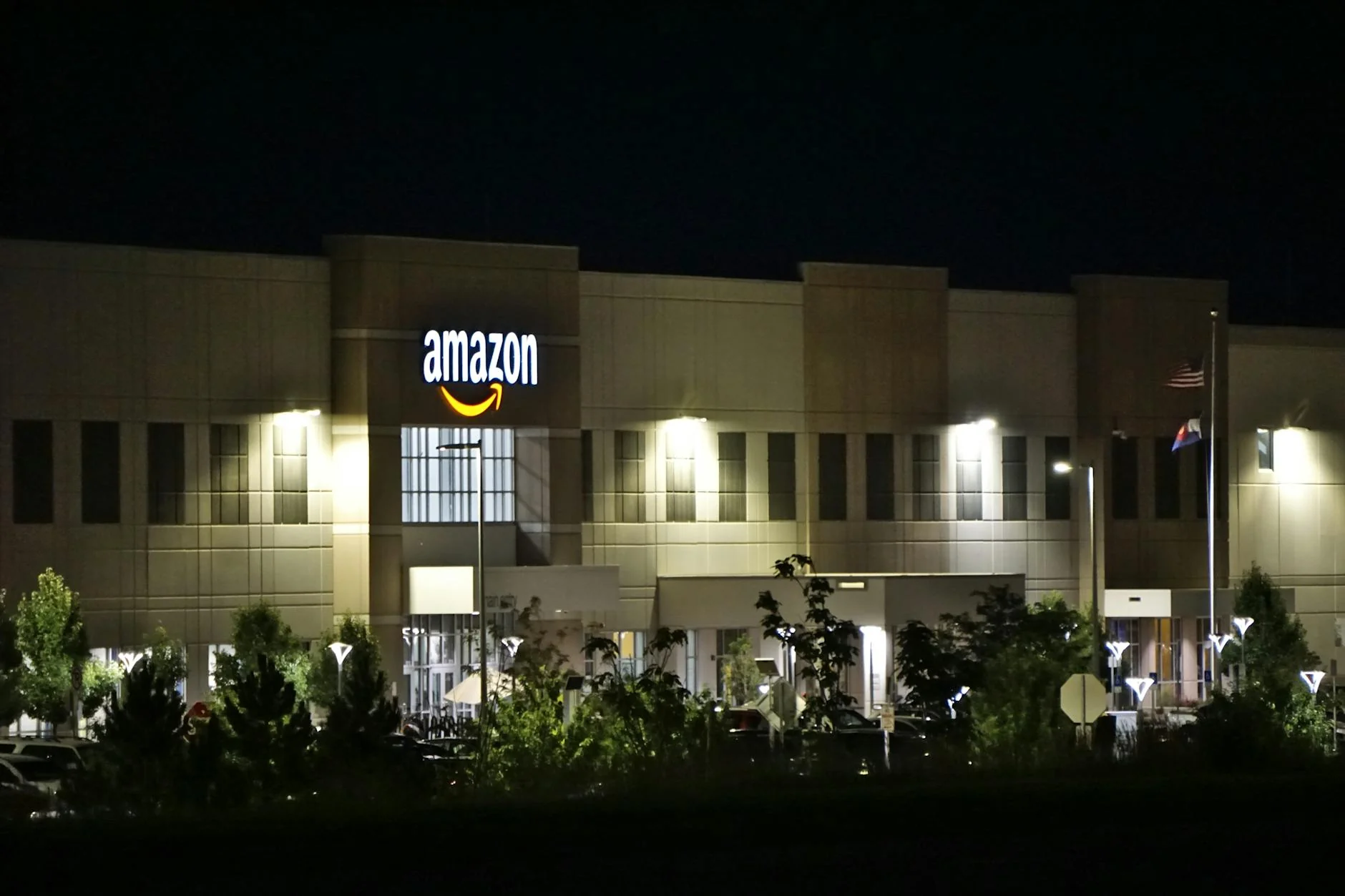 The Amazon listing specialist role: scope, reporting, responsibilities.